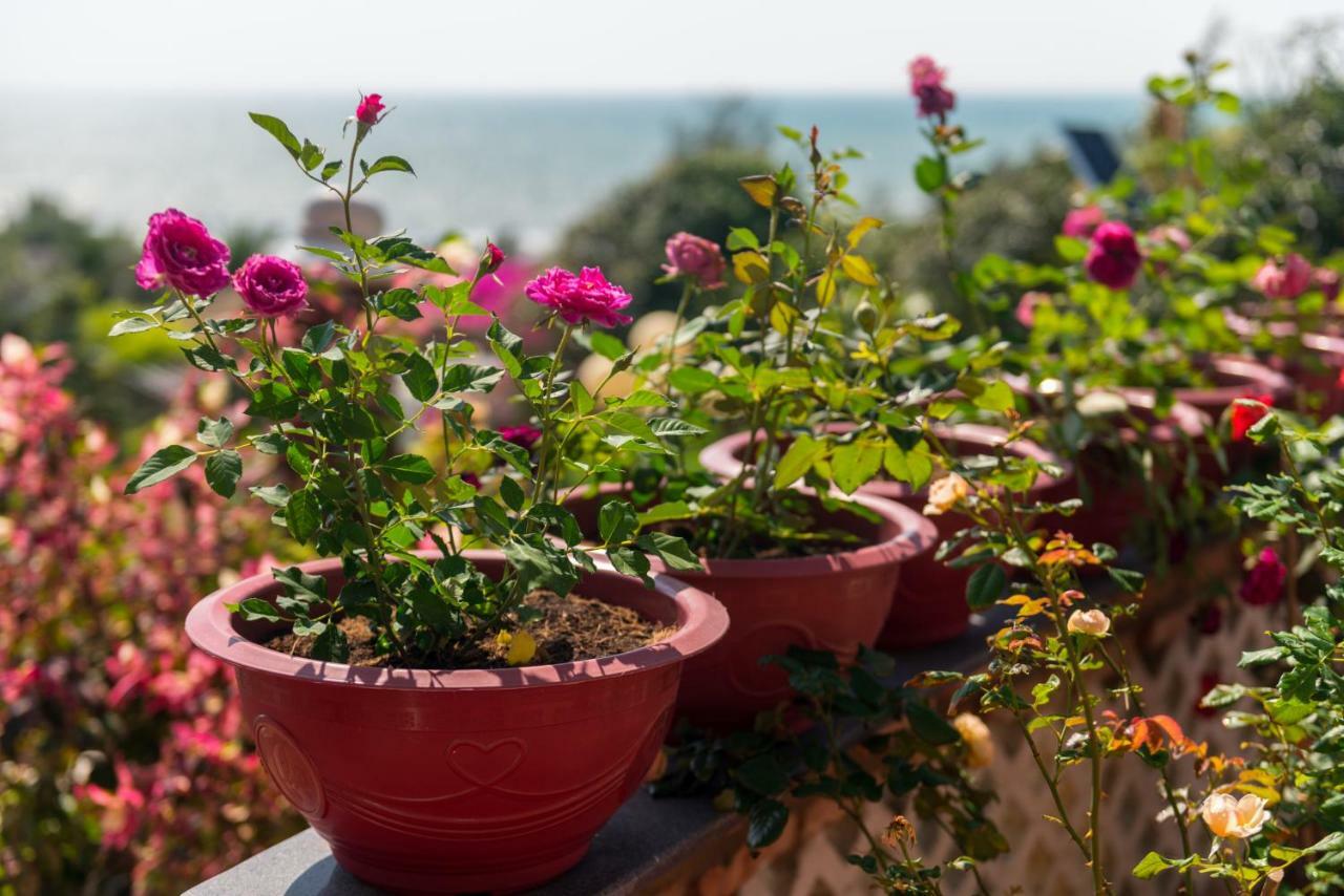 Veranda Beach Place Hotel Phan Thiet Exterior photo